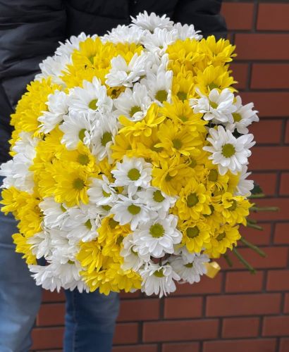 Купить букет из разноцветных хризантем с доставкой по Ярославлю